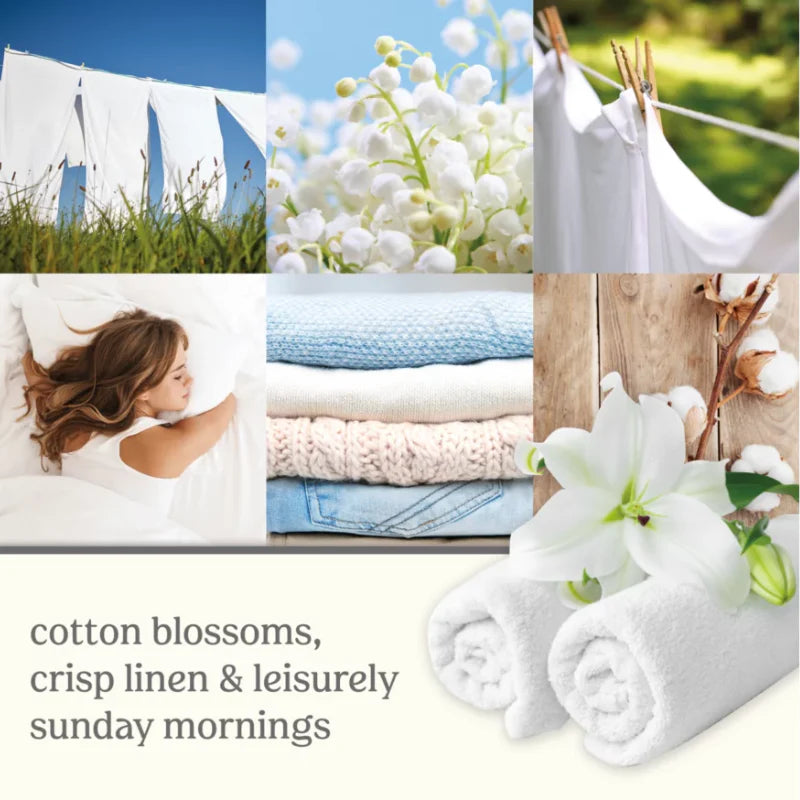 Clean Cotton Signature Large Jar