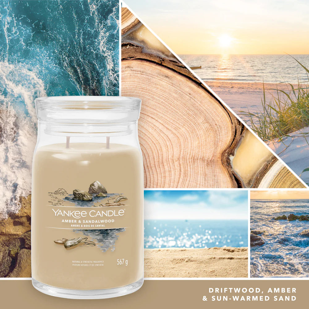 Amber & Sandalwood Signature Large Jar