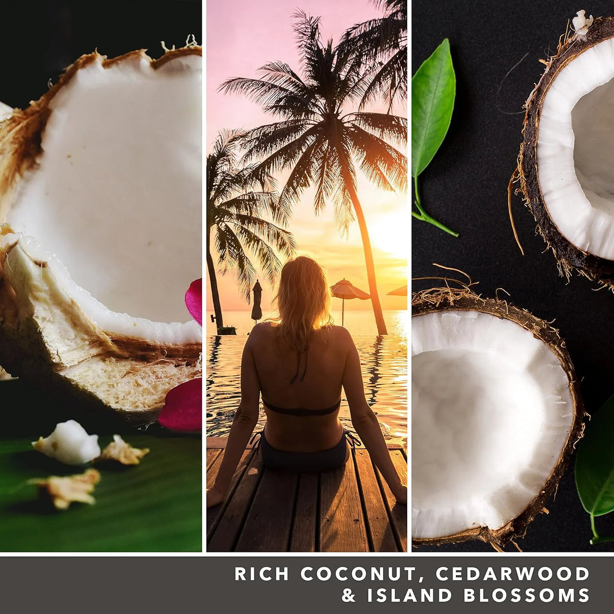 Black Coconut Signature Large Jar