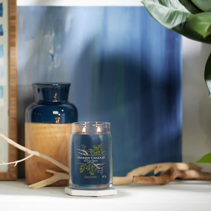 Bayside Cedar Signature Large Jar