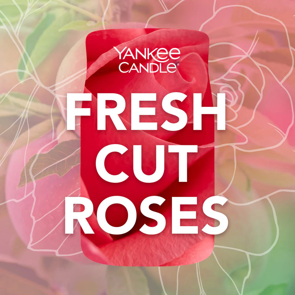 Fresh Cut Roses Signature Large Jar