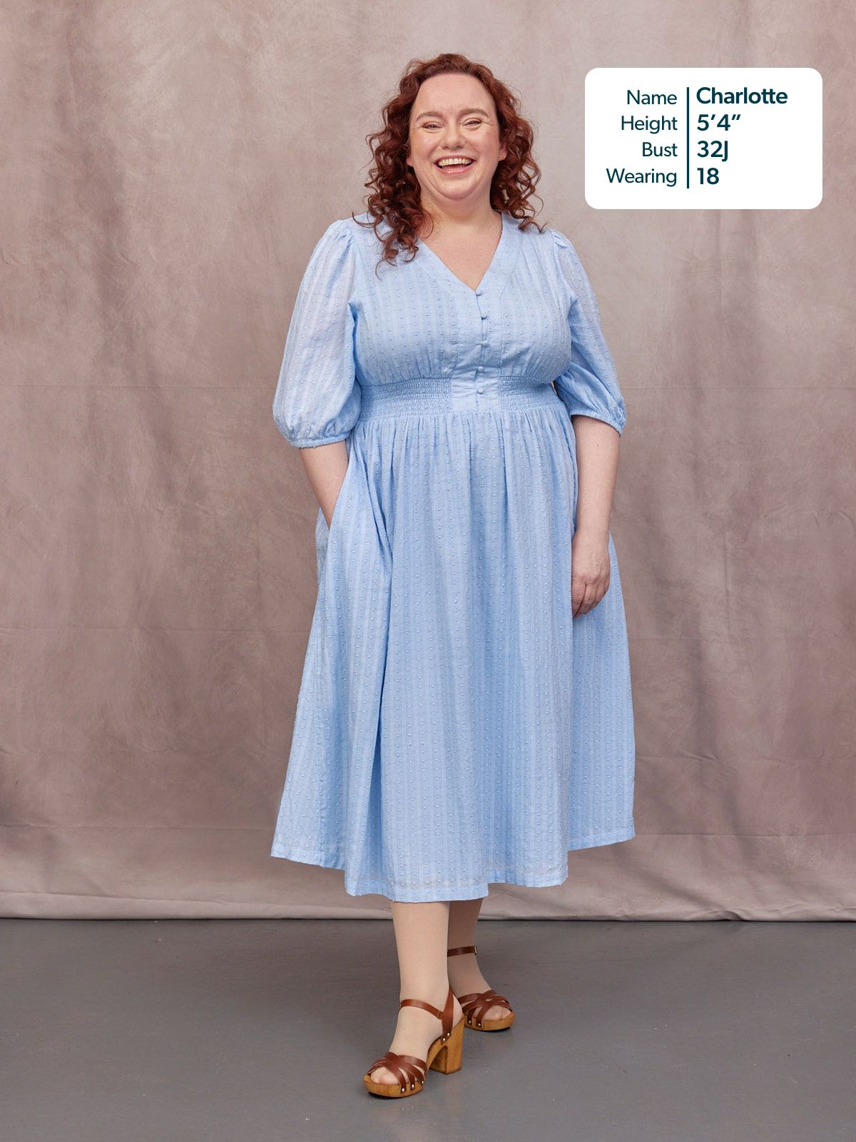 Phoebe Swiss Dot Button Front Dress - Blue