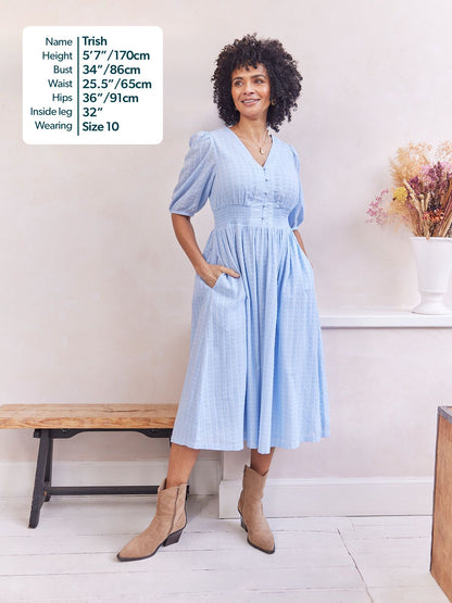 Phoebe Swiss Dot Button Front Dress - Blue